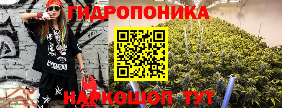 Конопля гибрид Обь