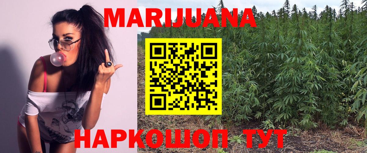 Бошки марихуана планчик  Шишки марихуана тримм  Вход с VPN  Обь 